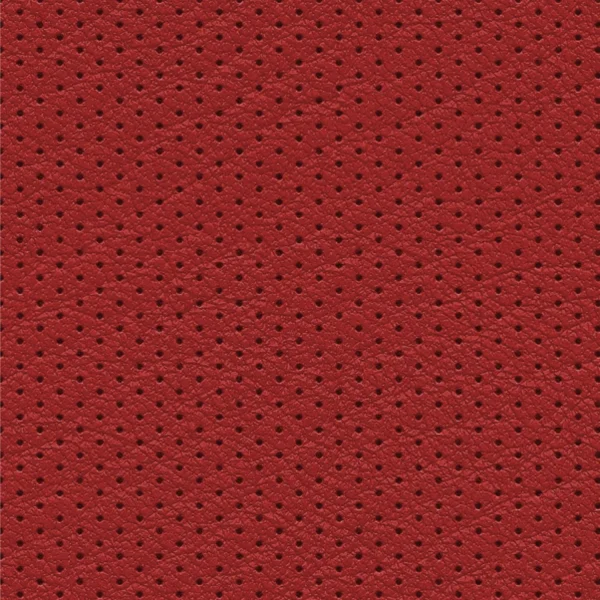 Perforated Leather 24