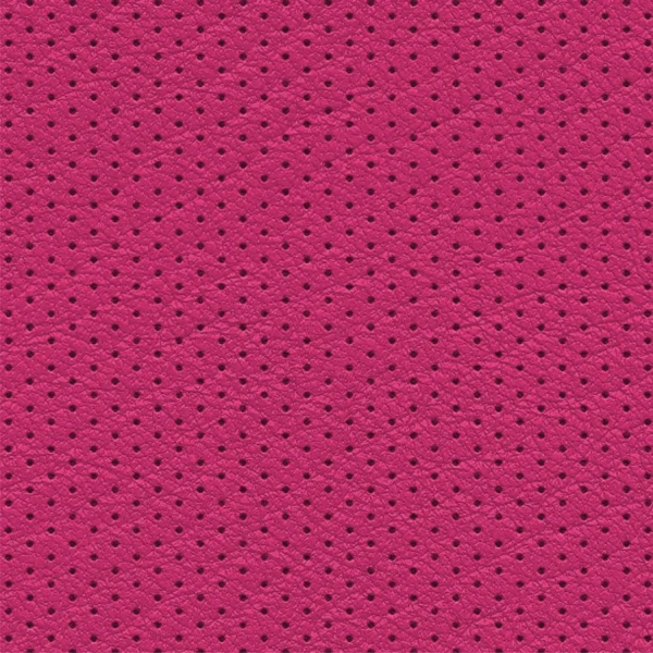 Perforated Leather 25