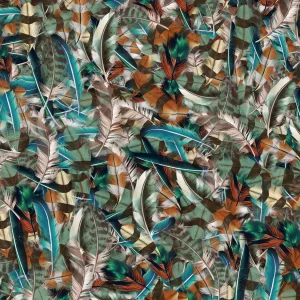 Feathers 30