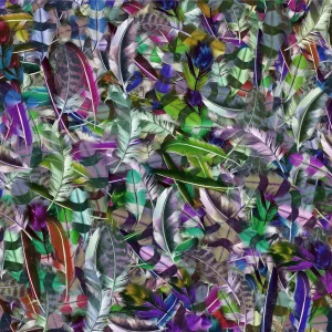 Feathers 31