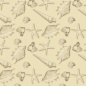 Seashells 28