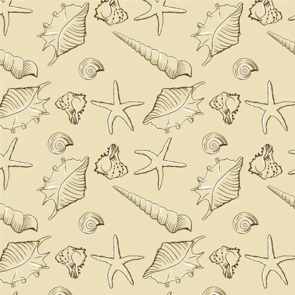 Seashells 28
