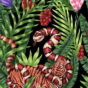 Tiger Snake Fight