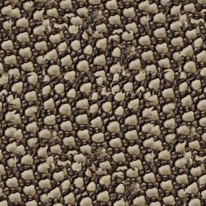 Armadillo Hide 22