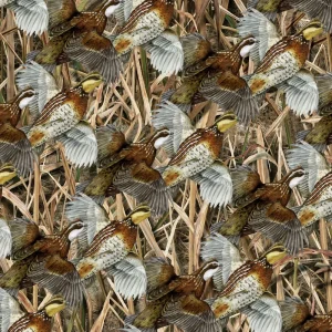Quail Covey 25