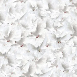 White Doves 23