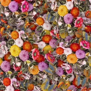 Chrysanthemums 22