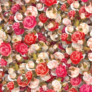 Pink Roses 18