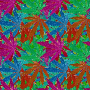 KushOMatic 22