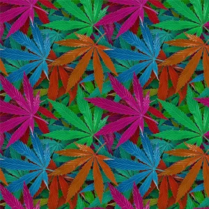 KushOMatic 23