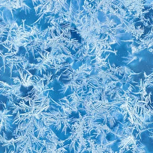 Ice Crystals 22