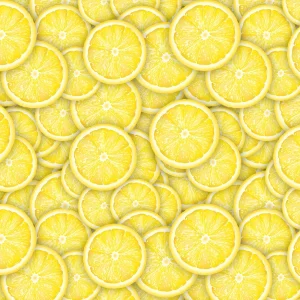 Lemon Slices 22