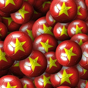 Vietnam Soccer Balls
