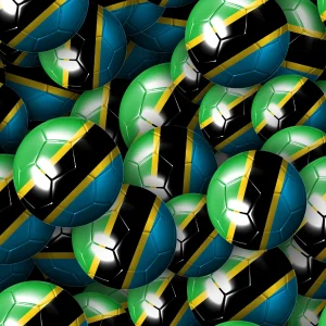 Tanzania Soccer Balls