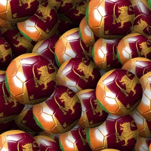 Sri Lanka Soccer Balls