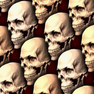 Skulls on Parade Skulls on Parade