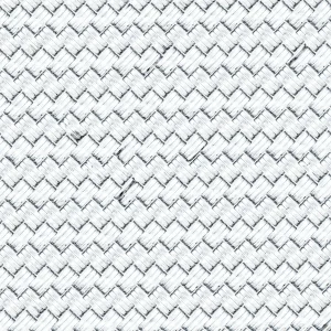 Stainless Steel Braided Hose 22