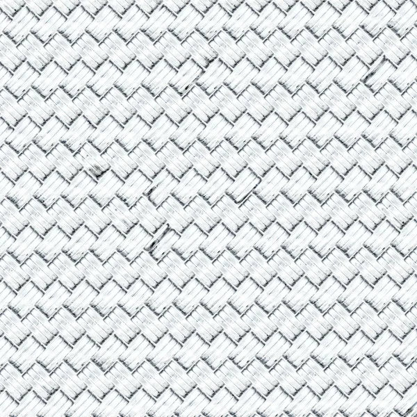 Stainless Steel Braided Hose 22