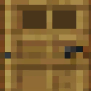 Minecraft Door
