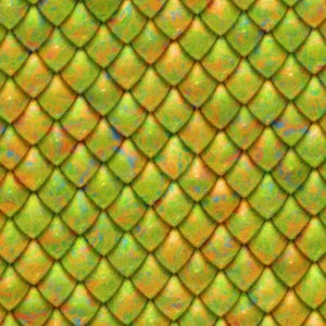 Dragon Scales 25