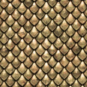 Dragon Scales Camouflage Dragon Scales Camouflage