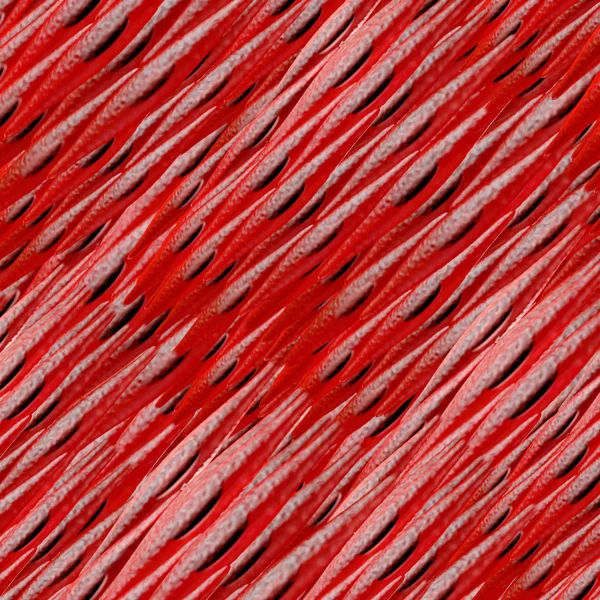 Muscle Cells 22