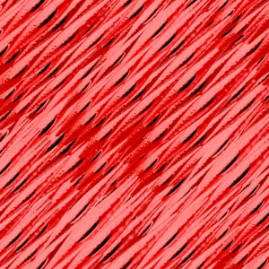 Muscle Cells 23