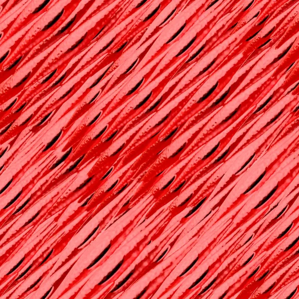 Muscle Cells 23