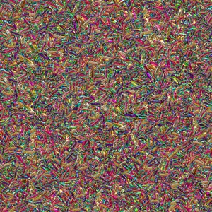 Rainbow Maggots
