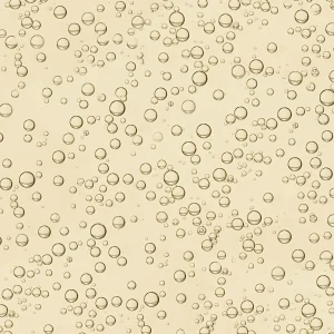 Champagne Bubbles 23