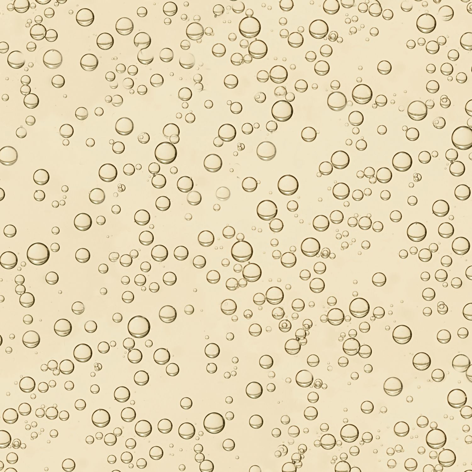 Champagne Bubbles 23 Pattern Crew