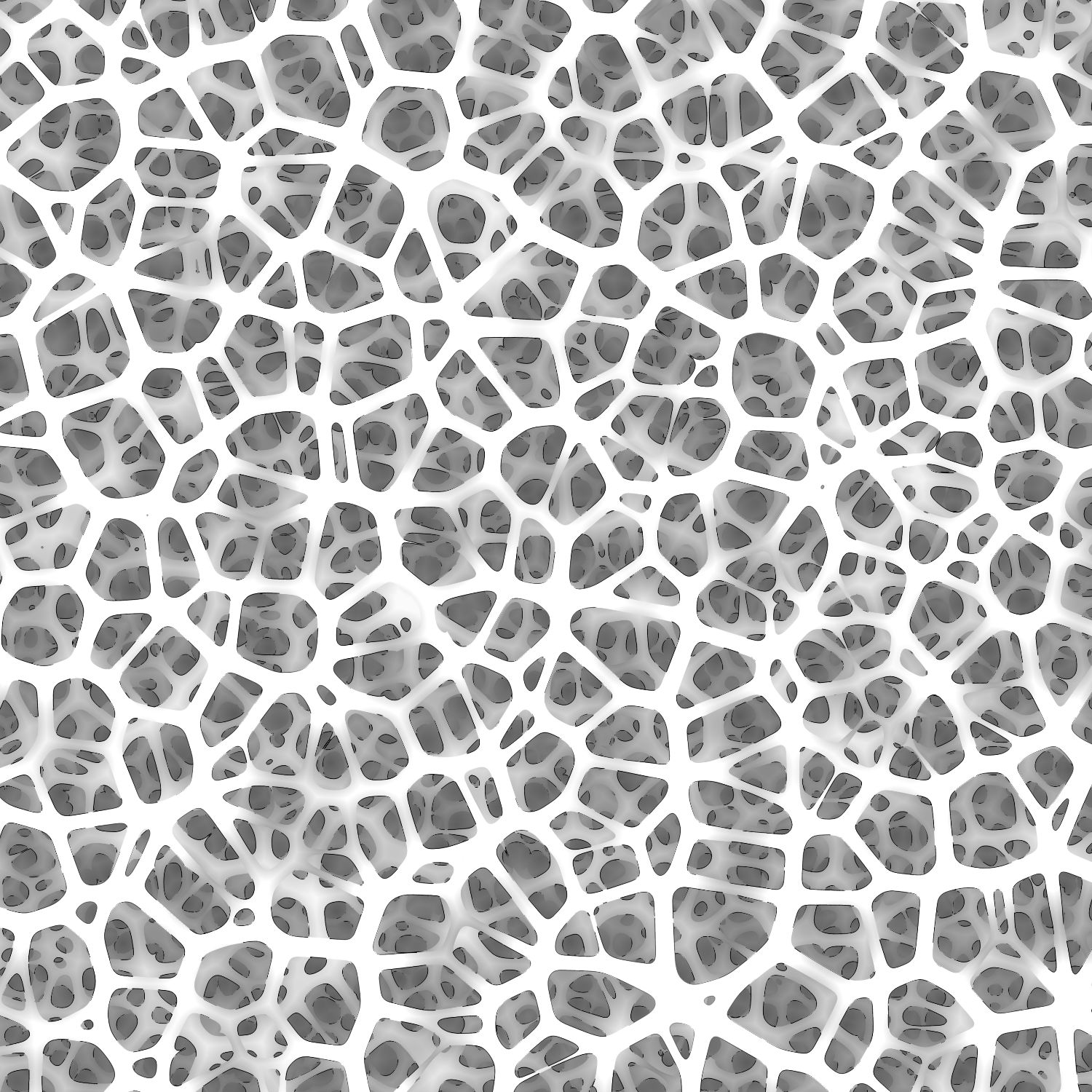 Constant Marrow Constant Marrow