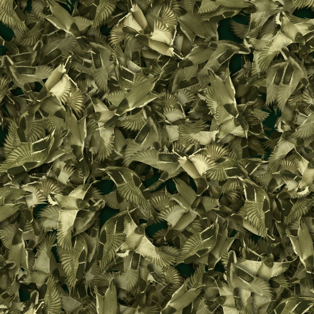 Duck Hunter 25 Camouflage Duck Hunter 25 Camouflage