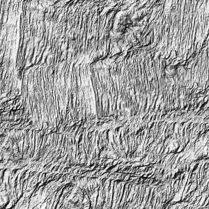 Sea Floor Texture
