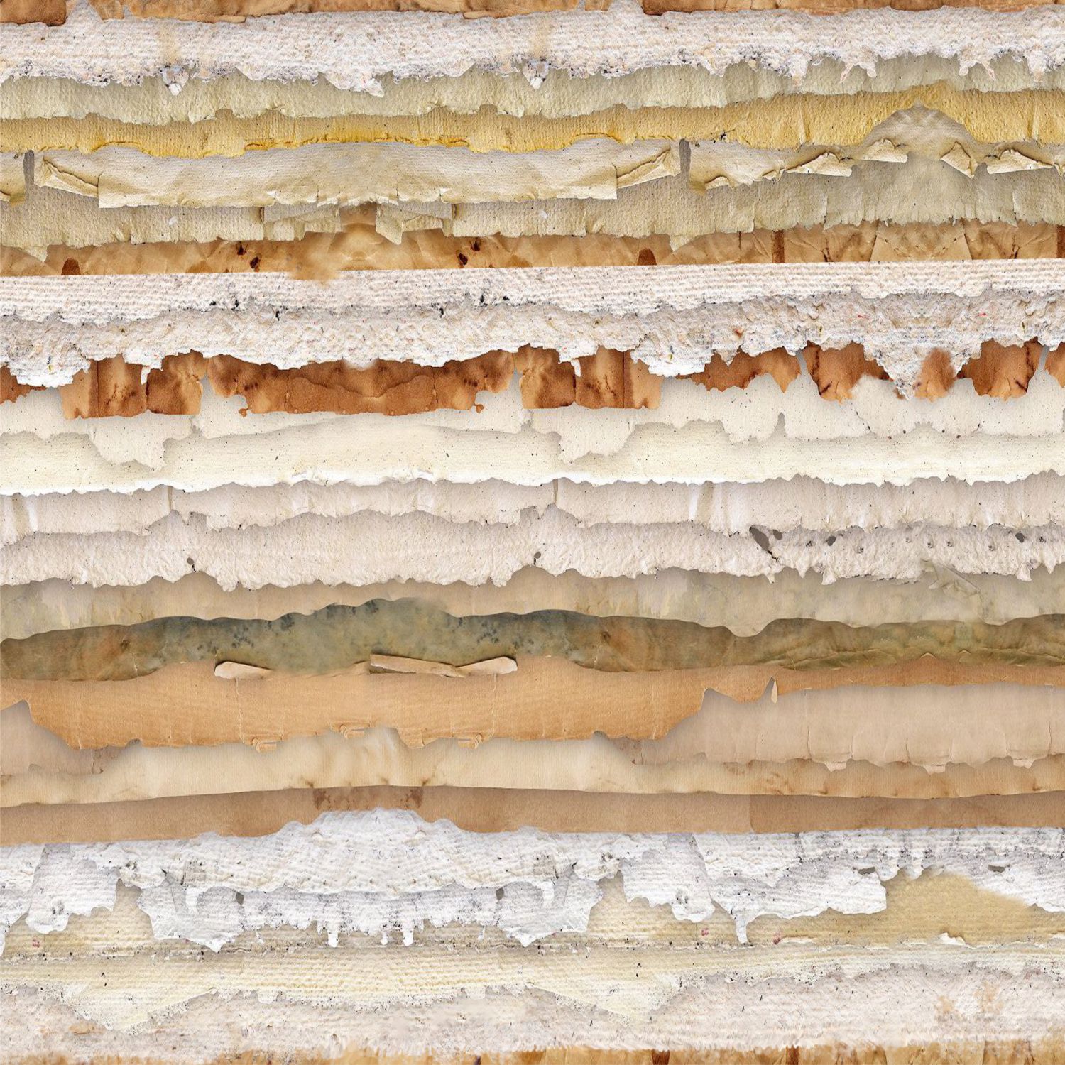 Torn Paper Edges Torn Paper Edges