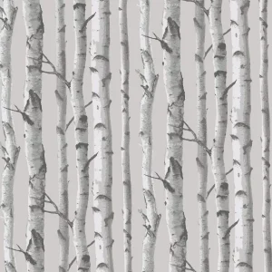 Birch Trees 77