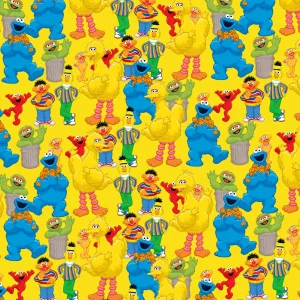 Sesame Street 25