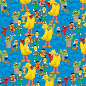 Sesame Street 26