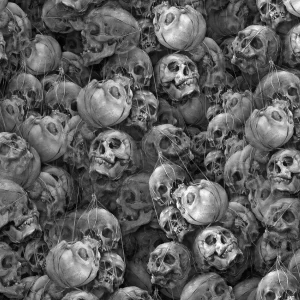 Basket of Skulls 23