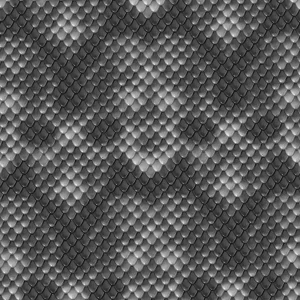 Gray Snakeskin Overlay