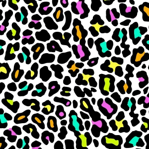 Leopard Rainbow 23