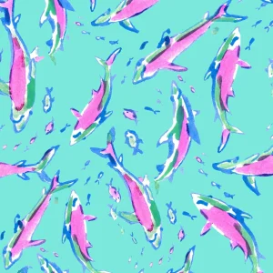 Lilly Shark Attack 24
