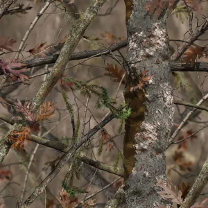 Solognac Brown Camouflage