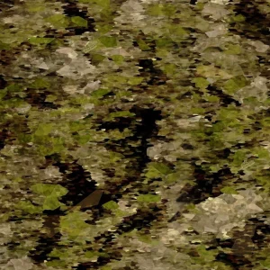 Raider Gladius Camouflage