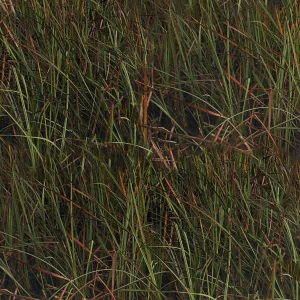 Florida Everglades 23 Camouflage