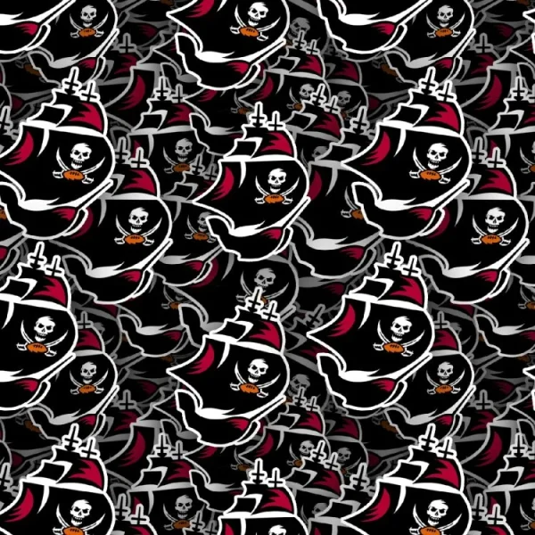 Tampa Bay Buccaners 23