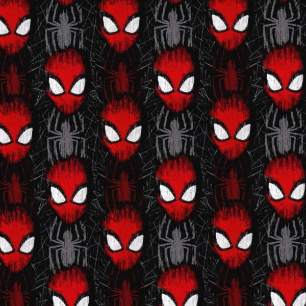 Spiderman 27