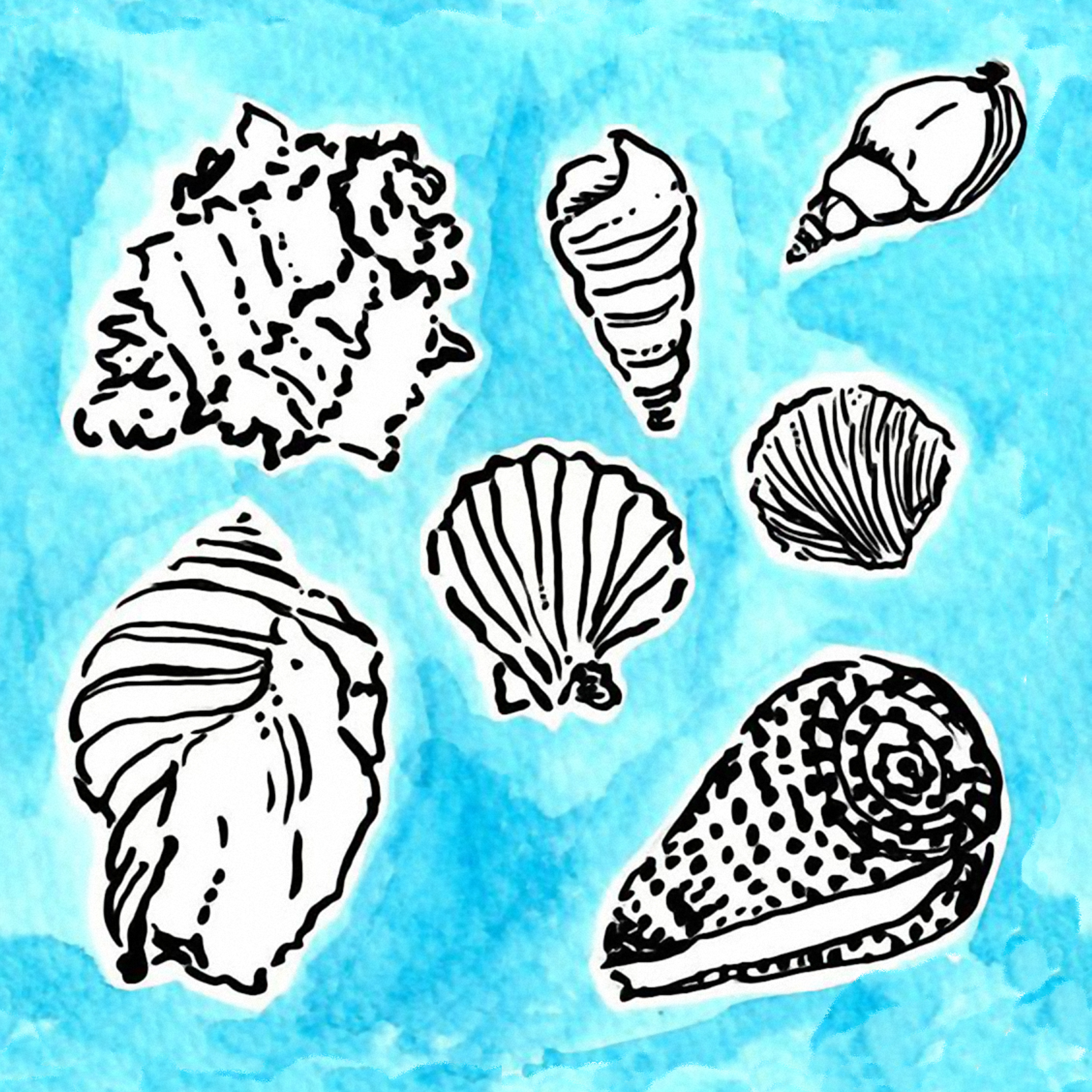 Lilly Shell Yeah – Pattern Crew