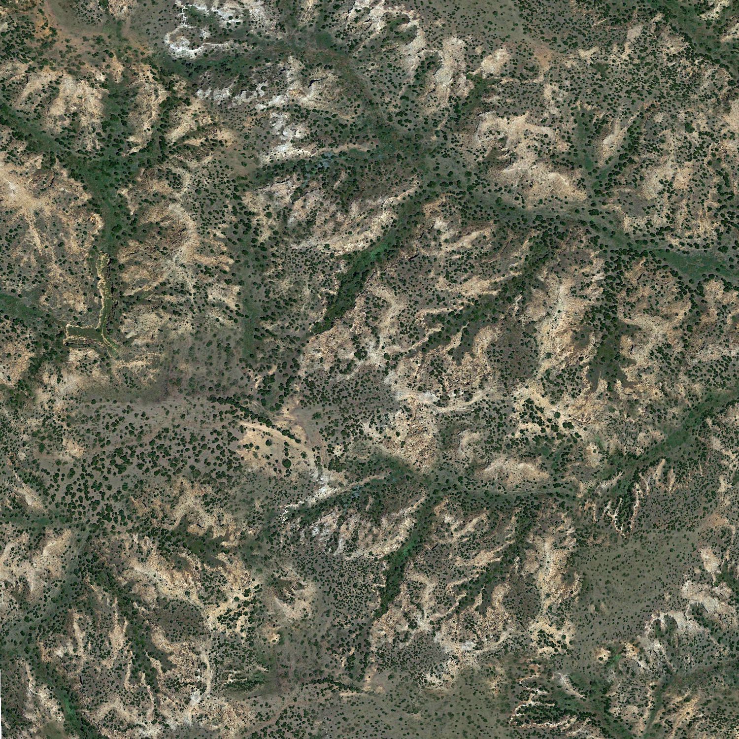 Arroyo Scrub 22 Camouflage Arroyo Scrub 22 Camouflage