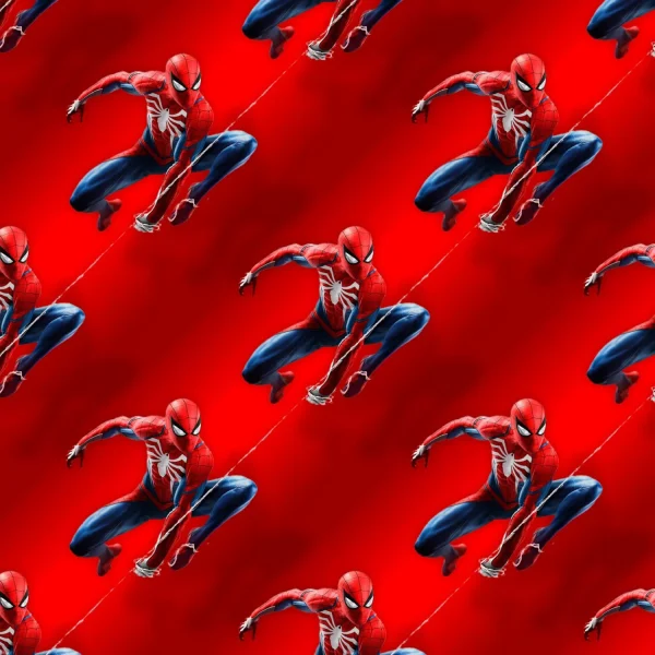 Spiderman on the Web 22
